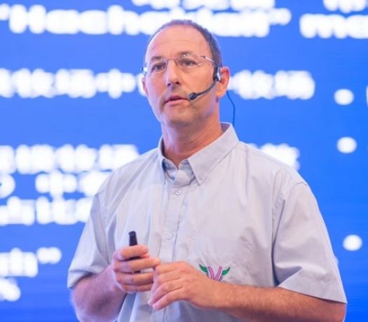ואן סטרטן